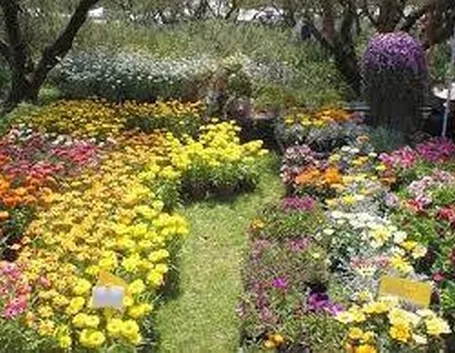 giardinilandriana1