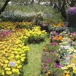 giardinilandriana1