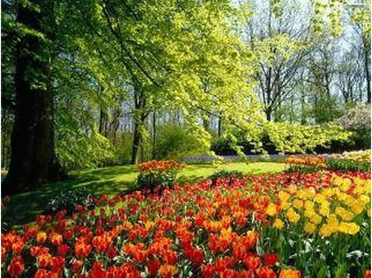 giardinifioriti2