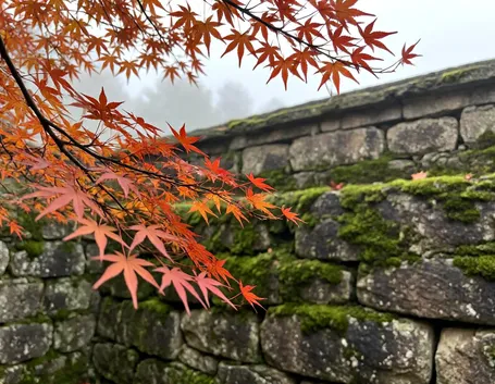 Quando partire: il calendario del foliage da nord a sud
