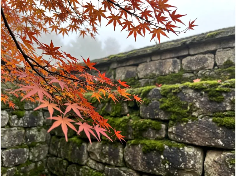 Quando partire: il calendario del foliage da nord a sud
