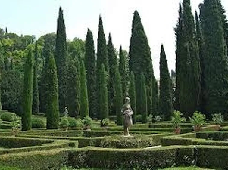 giardinogiusti