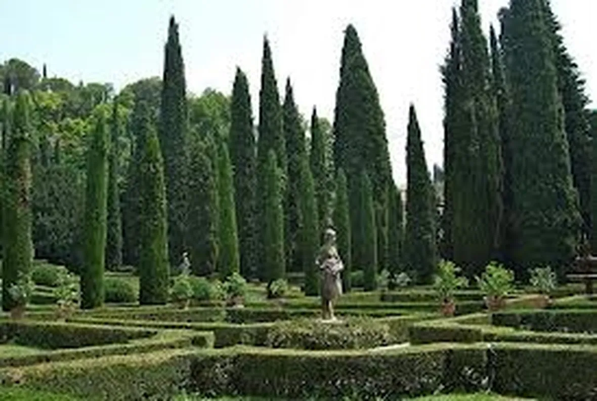 giardinogiusti