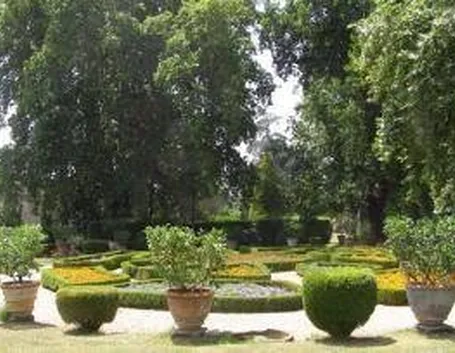 giardinotorrigiani