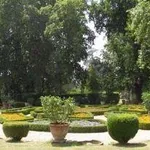 giardinotorrigiani