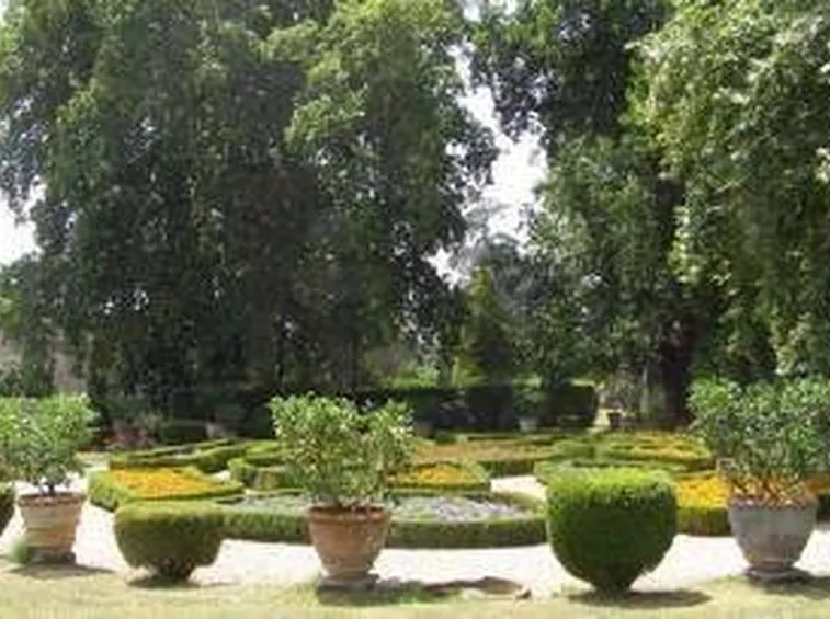giardinotorrigiani