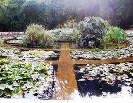 ortobotanicopalermo1