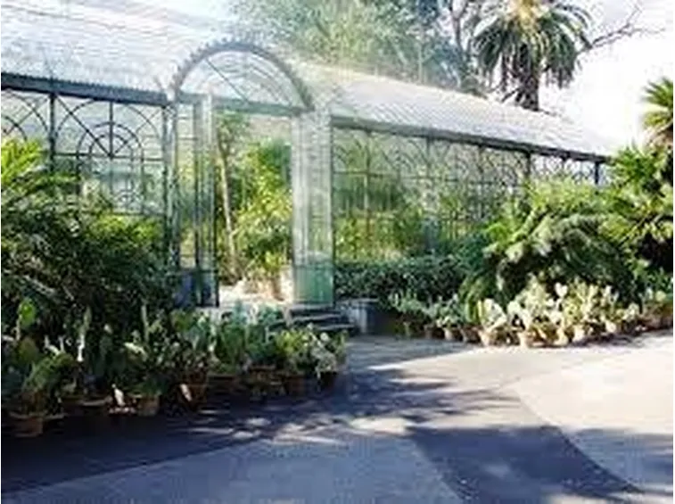 ortobotanicopalermo2