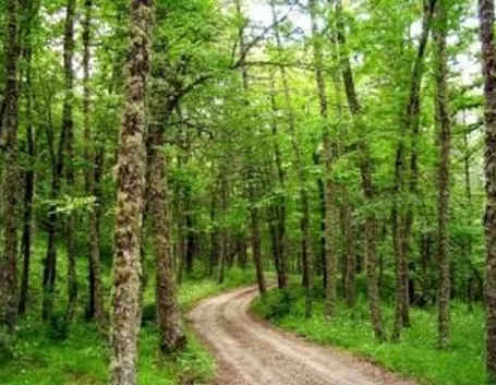 parcoappenninolucano1
