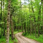 parcoappenninolucano1