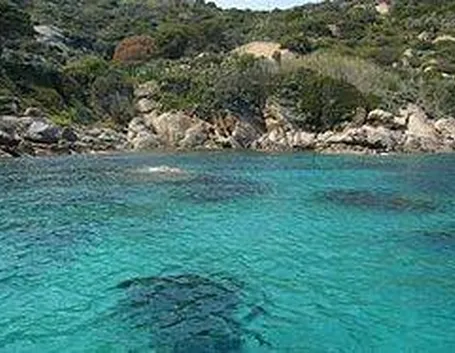 -Caletta_dellisola_del_Giglio
