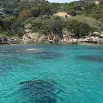 -Caletta_dellisola_del_Giglio