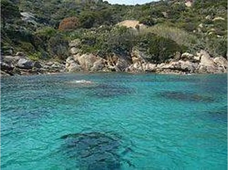 -Caletta_dellisola_del_Giglio