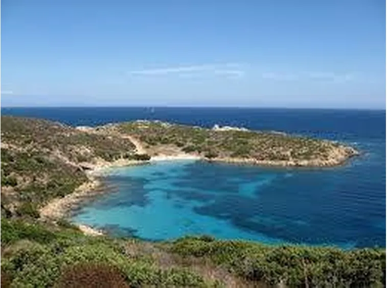 parcoasinara1