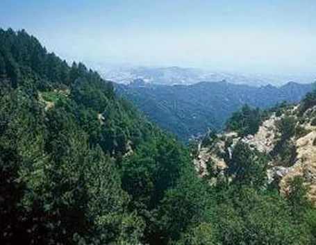 parcoaspromonte1