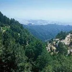 parcoaspromonte1