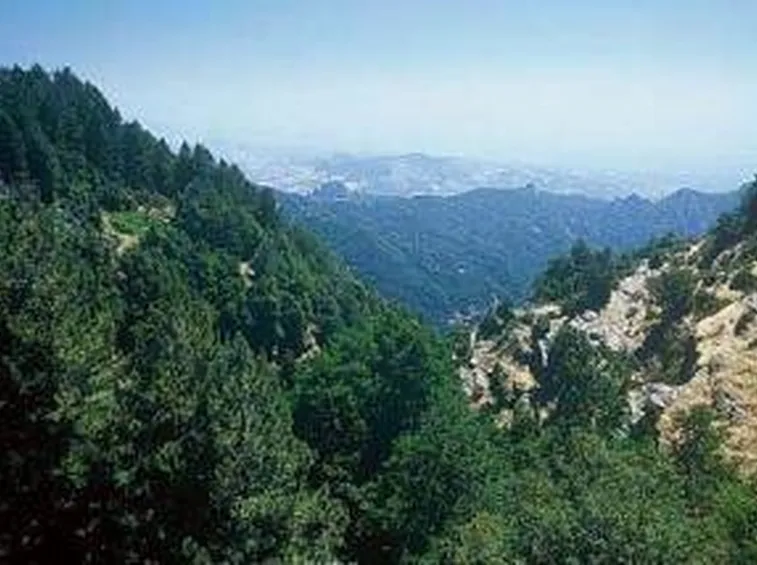 parcoaspromonte1
