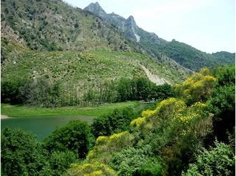 parcoaspromonte2