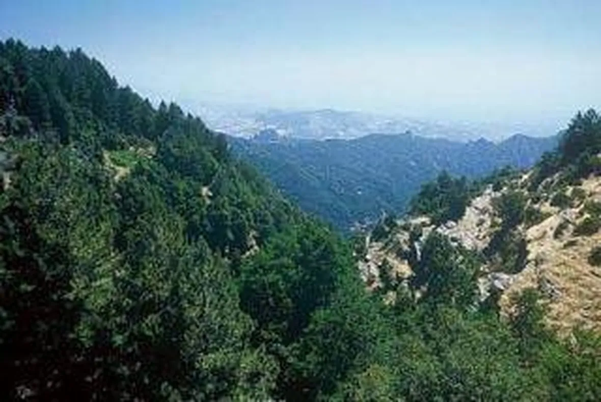 parcoaspromonte1