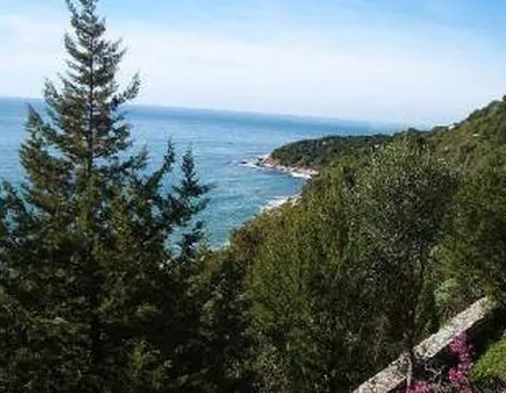 parcocirceo2