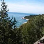 parcocirceo2