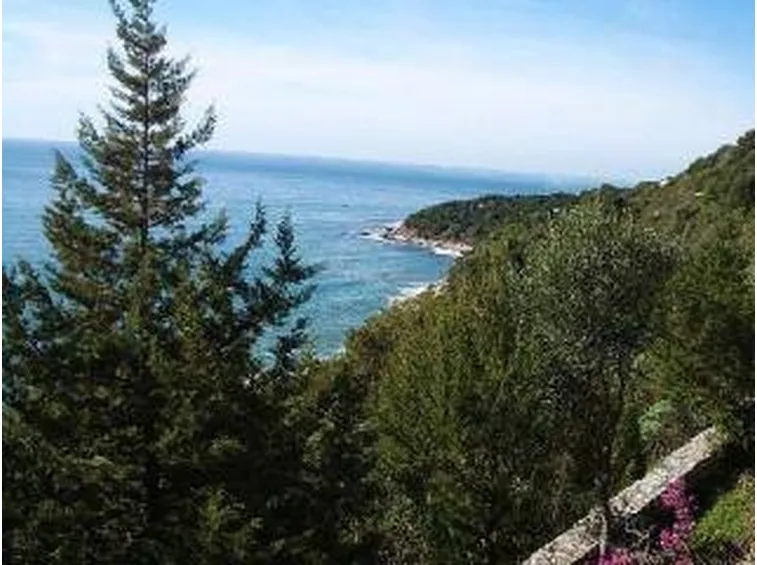parcocirceo2