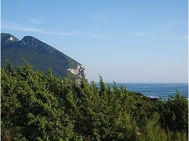 parcocirceo1