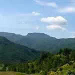 parcoforestecasentinesi2