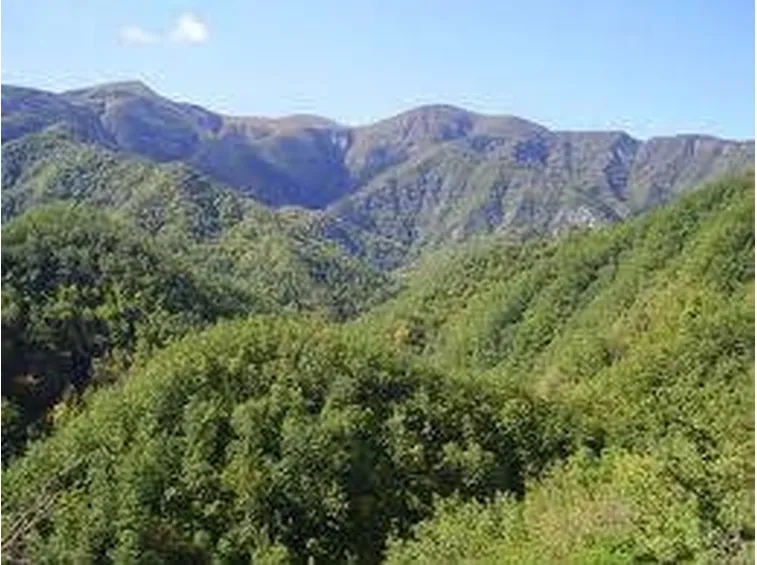 parcoforestecasentinesi1