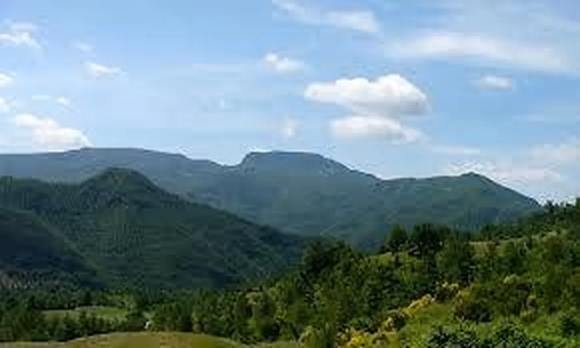 parcoforestecasentinesi2
