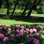 parcogiardinosigurta2