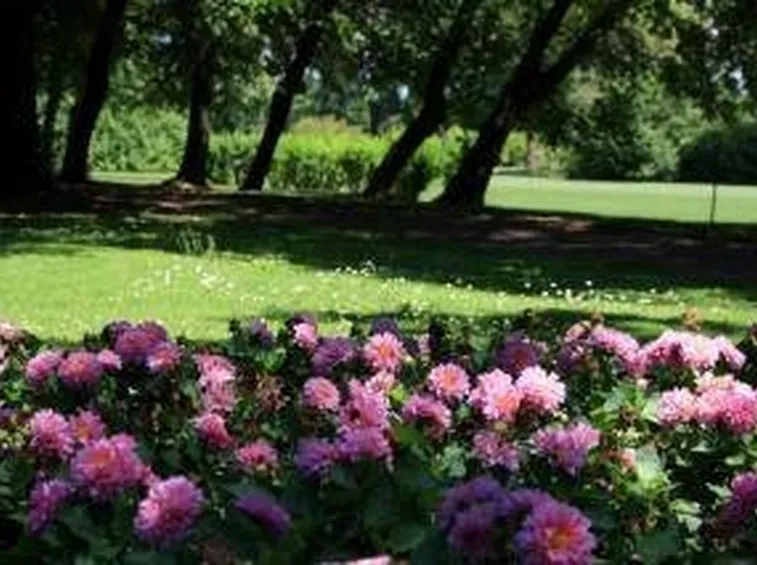 parcogiardinosigurta2