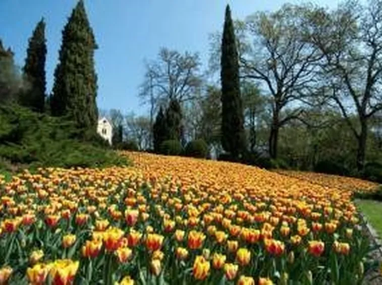 parcogiardinosigurta1