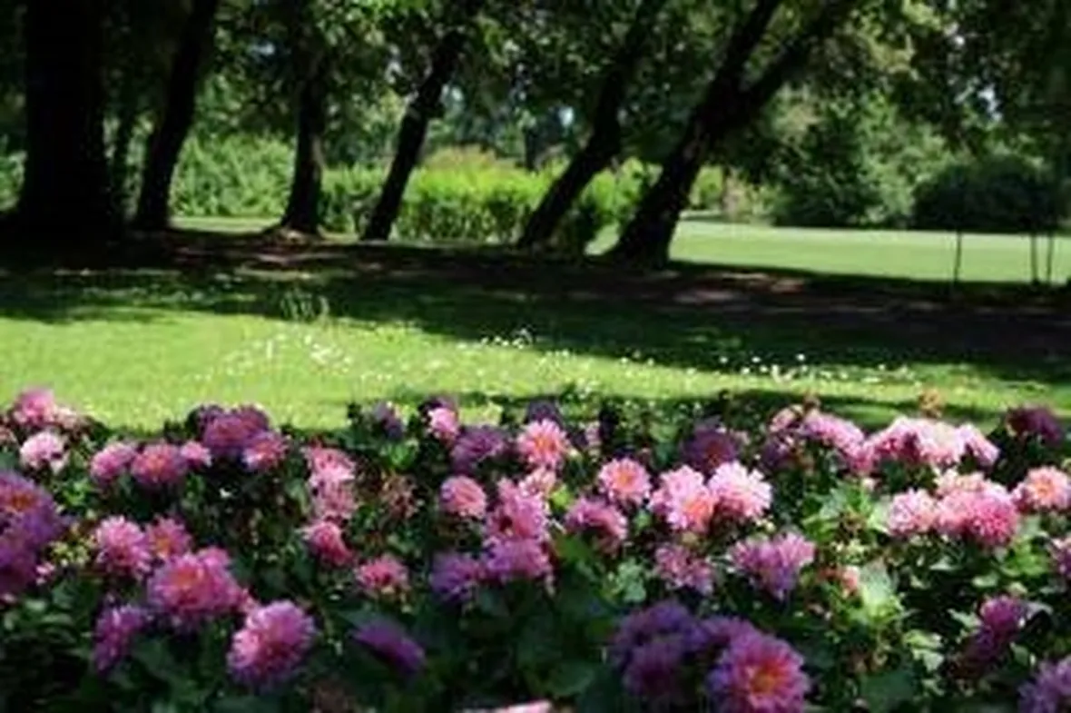 parcogiardinosigurta2