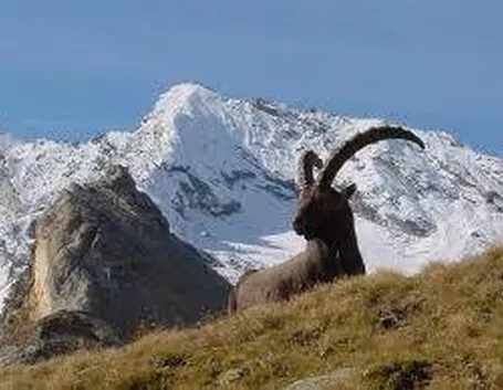 parcogranparadiso1