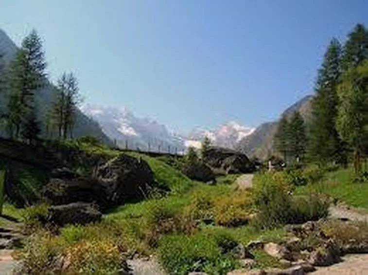 parcogranparadiso2
