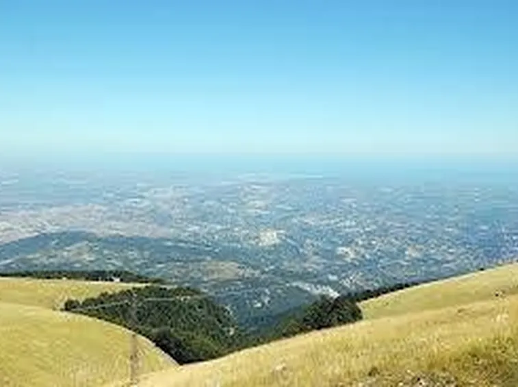 parcomajella2