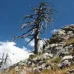 parcopollino2