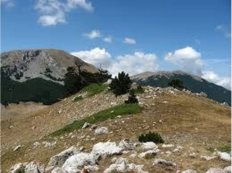 parcopollino1