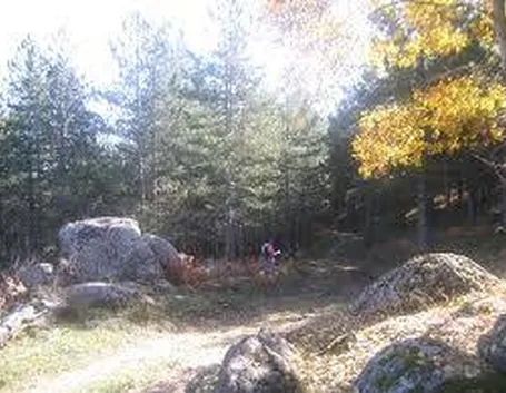 parcosila2
