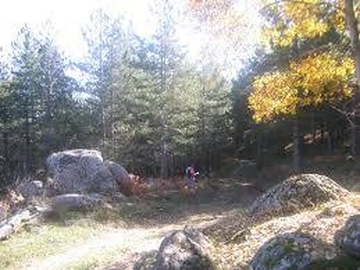 parcosila2