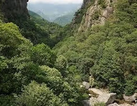 parcovalgrande1