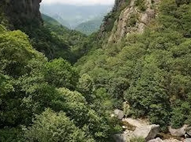 parcovalgrande1