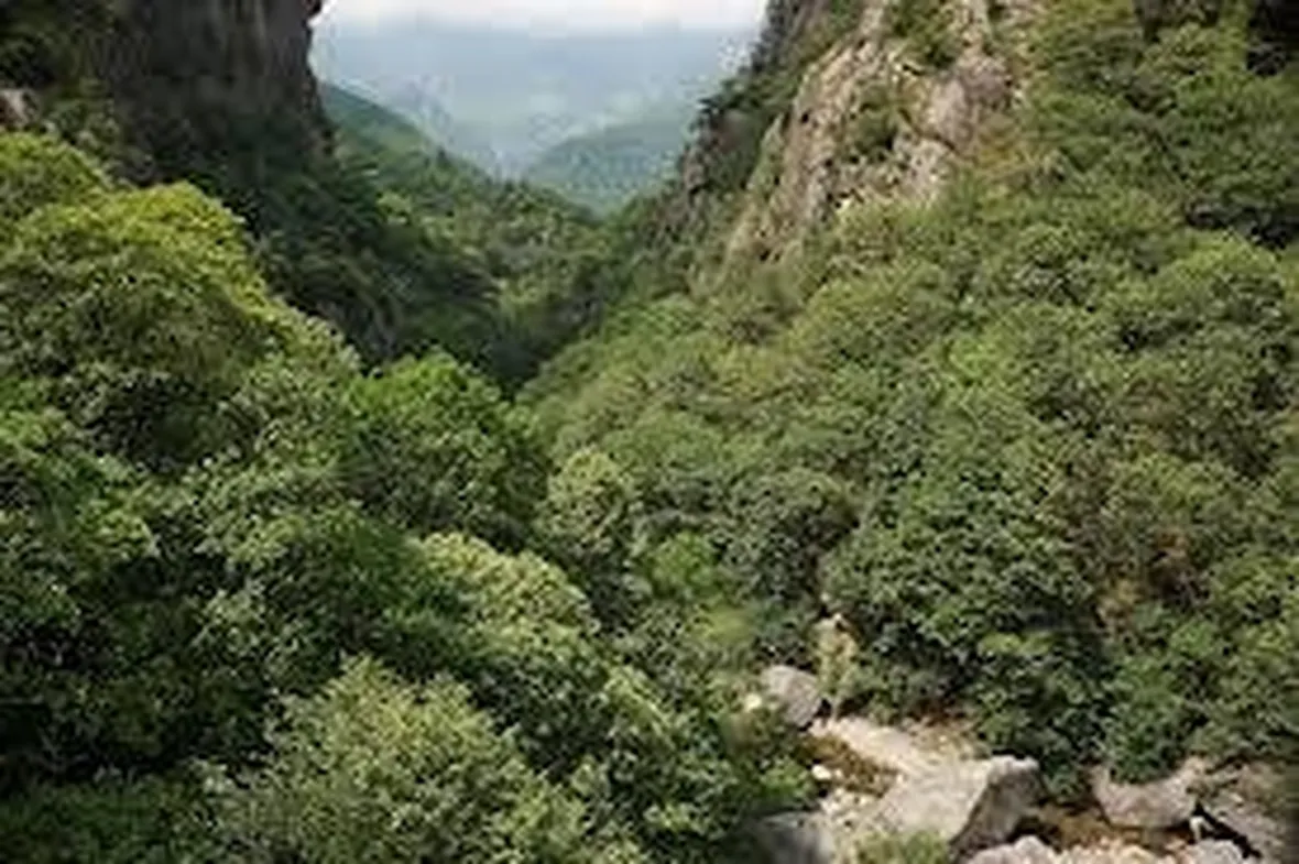 parcovalgrande1