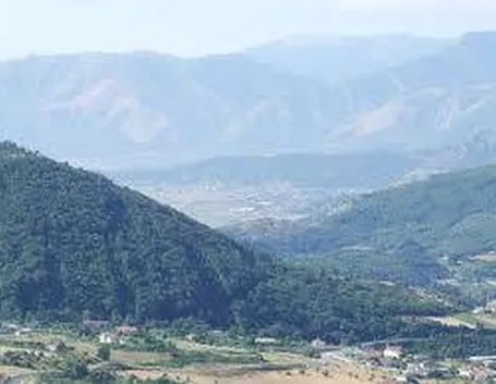 vallodiano1