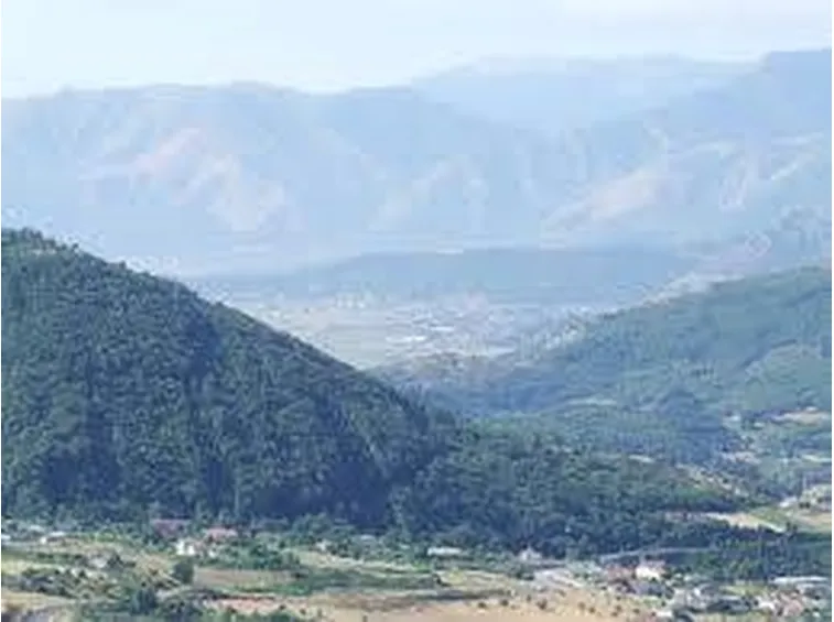vallodiano1