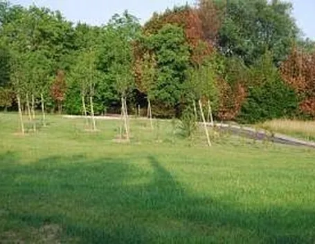 progettazioneareeverdi1