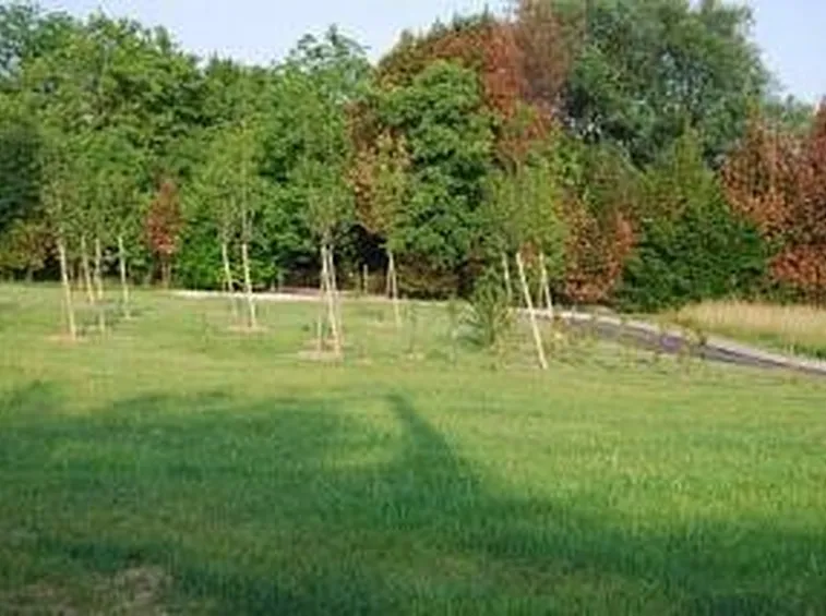 progettazioneareeverdi1