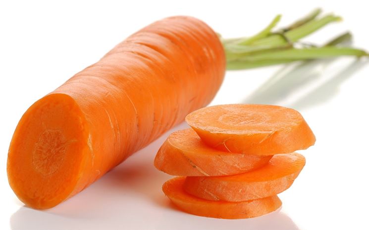 prodotto a base di carota