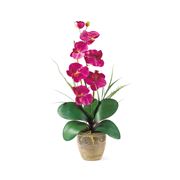 Composizione con orchidee artificiali